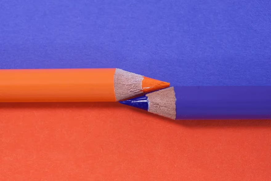 Creating a Harmonious Color Palette